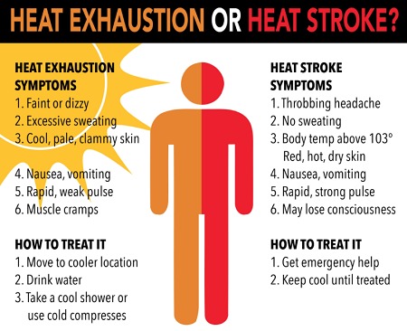 Safety Corner- Avoid Heat Stroke, Heat Exhaustion & Heat Cramps - Lead ...